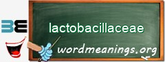 WordMeaning blackboard for lactobacillaceae